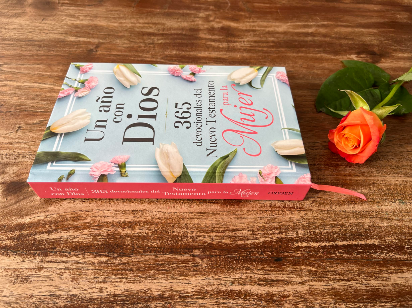 Libro Un año con Dios en el Nuevo Testamento