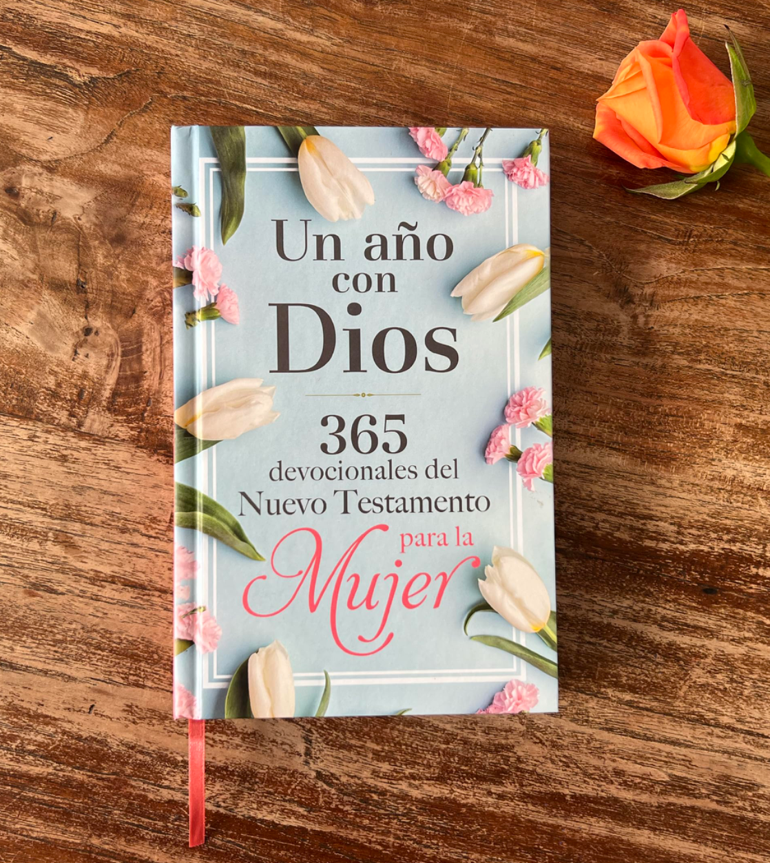 Libro Un año con Dios en el Nuevo Testamento